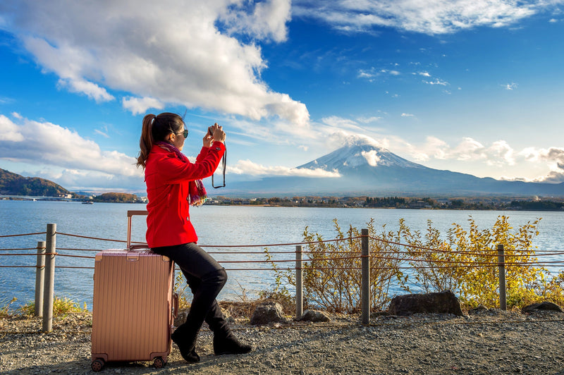 Lockdown Tips: Navigating Domestic Travel